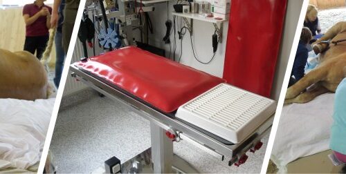 VETVAC – VETERINARY CARE