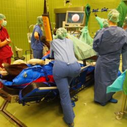VETVAC – VETERINARY CARE